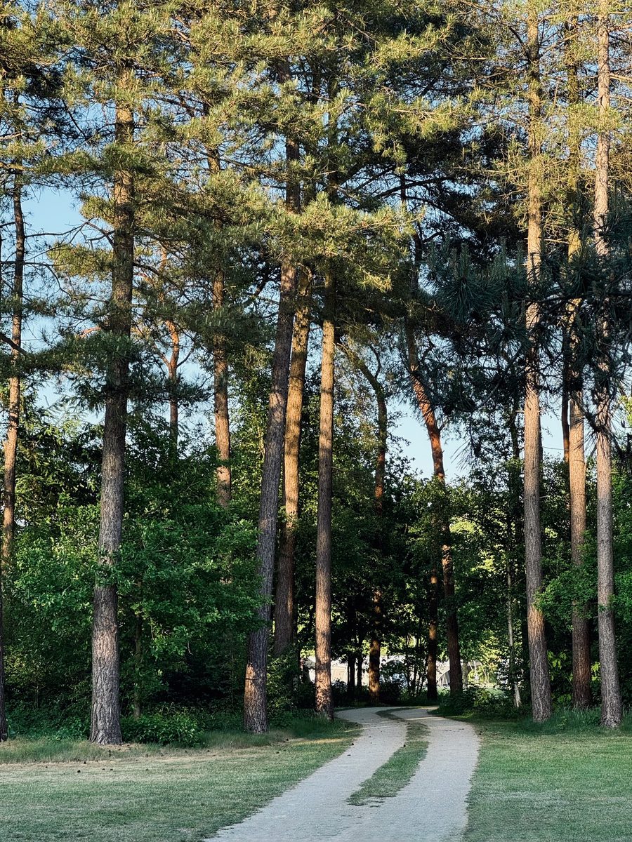 Kampeerplaats
