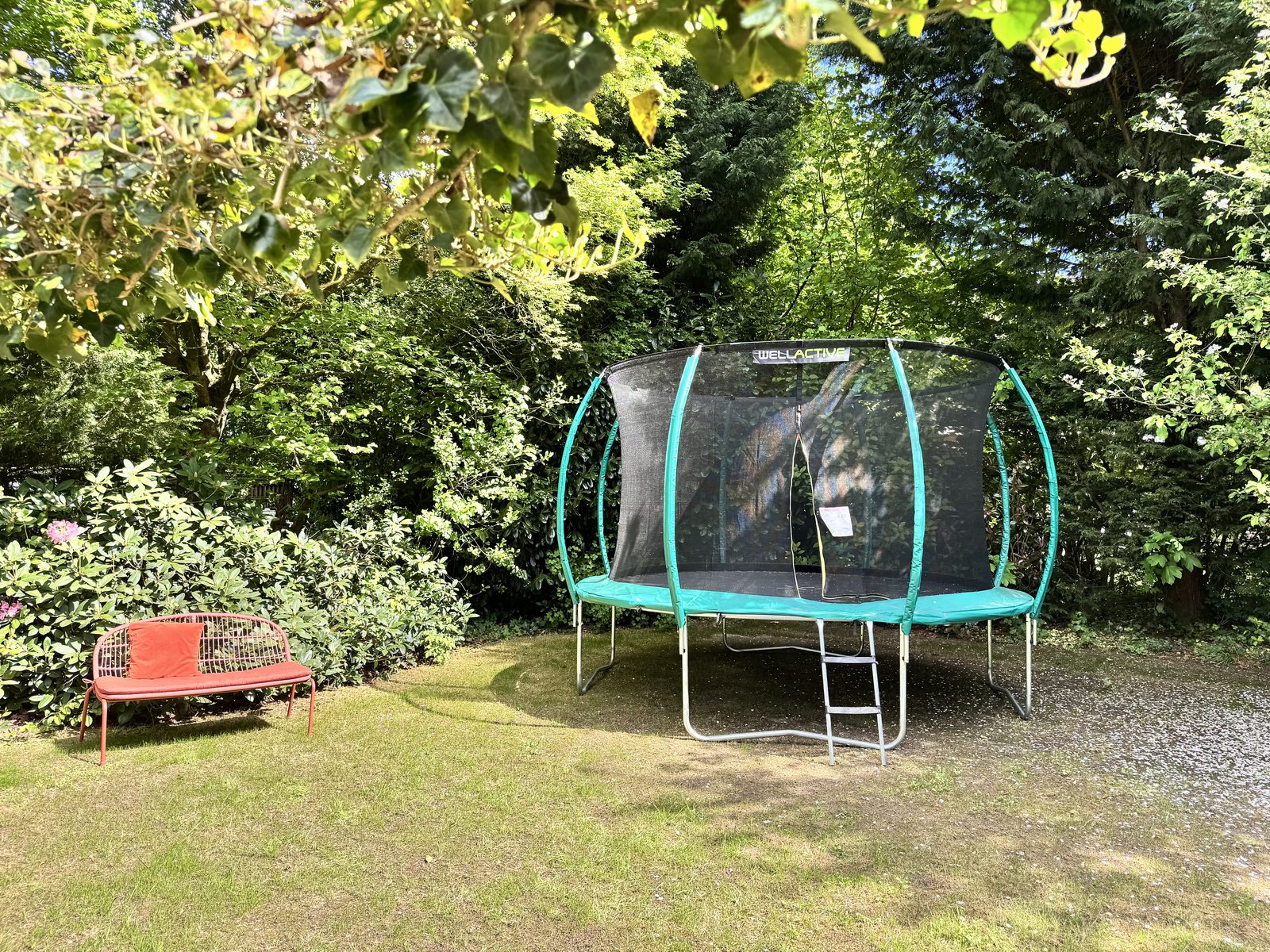 Bungalow Vlinderstruik | 4 personen