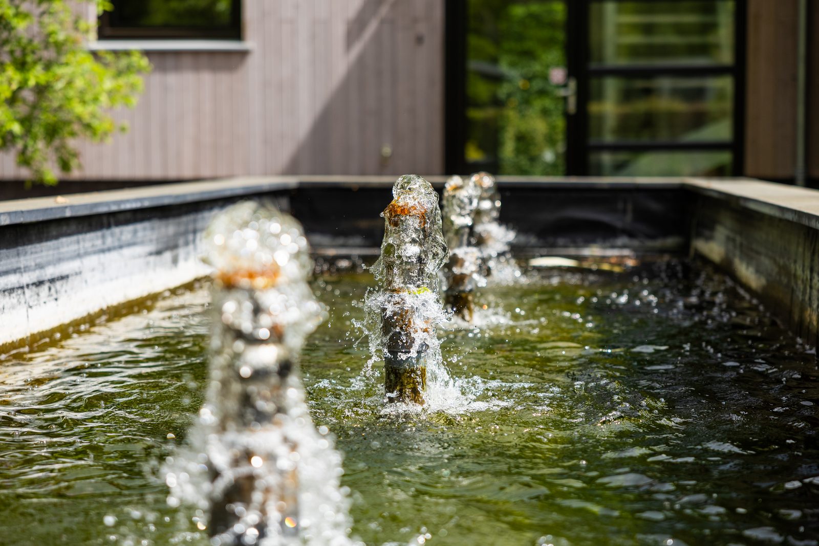 Boshuys 20 personen met Jacuzzi en Sauna