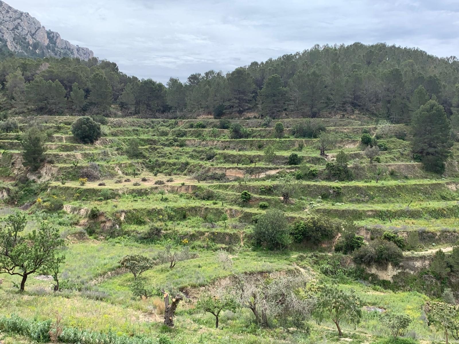 Finca del Ter