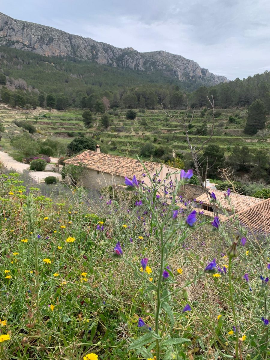 Finca del Ter
