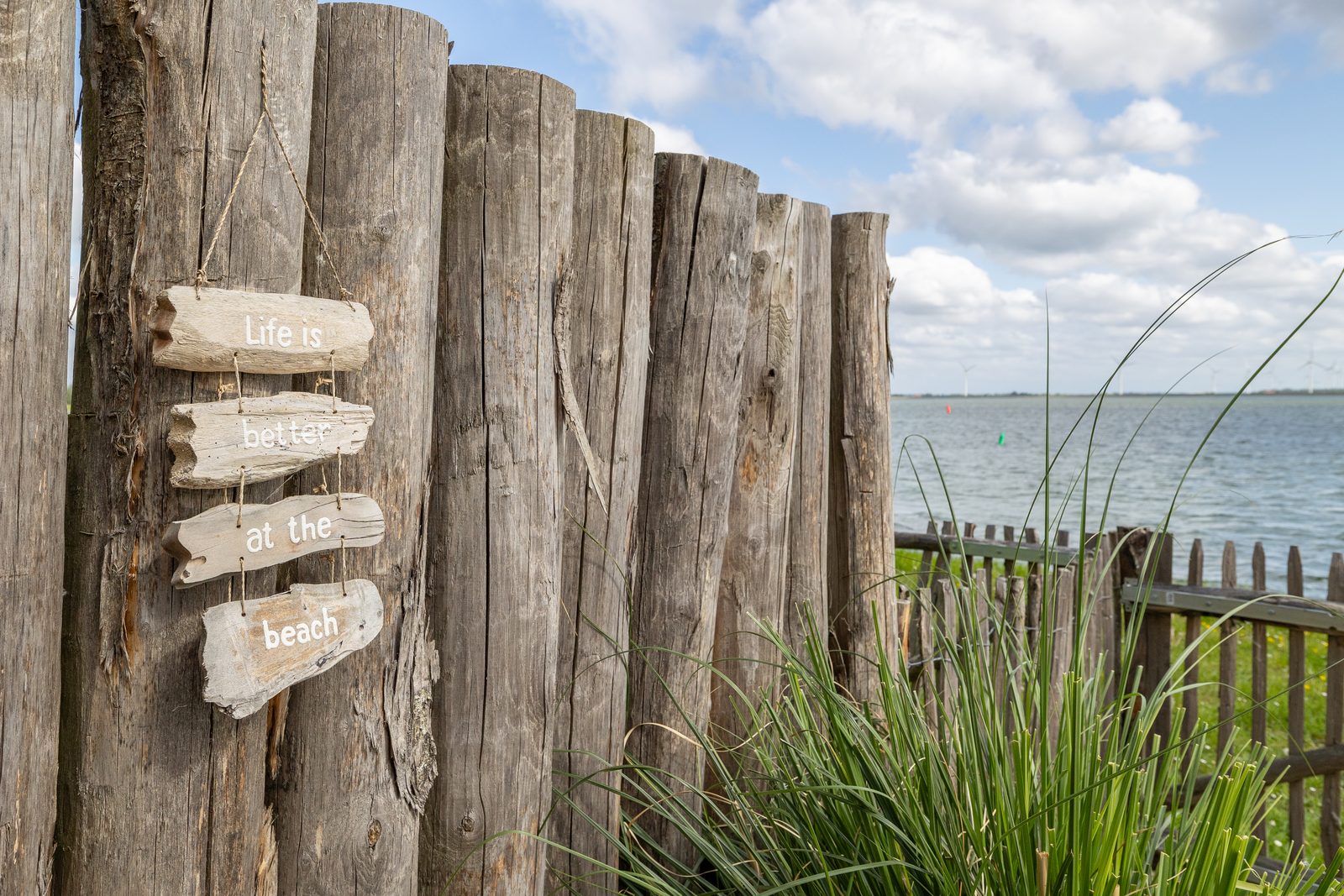 Vakantiewoning aan het strand - tuin en terras met haven- & zeezicht | 4 Pers. - Nr. 14 