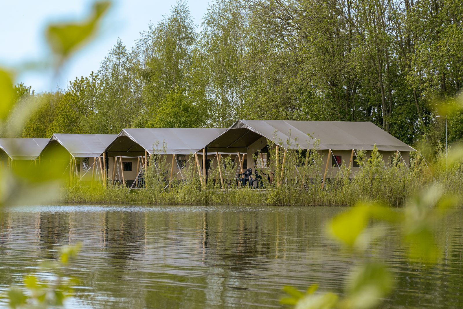 Safaritent | 6 Personen