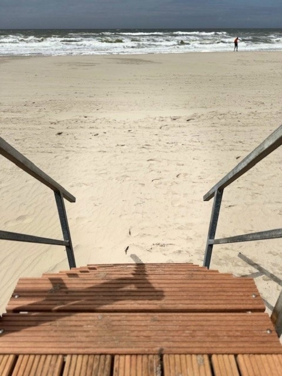 Puur Petten