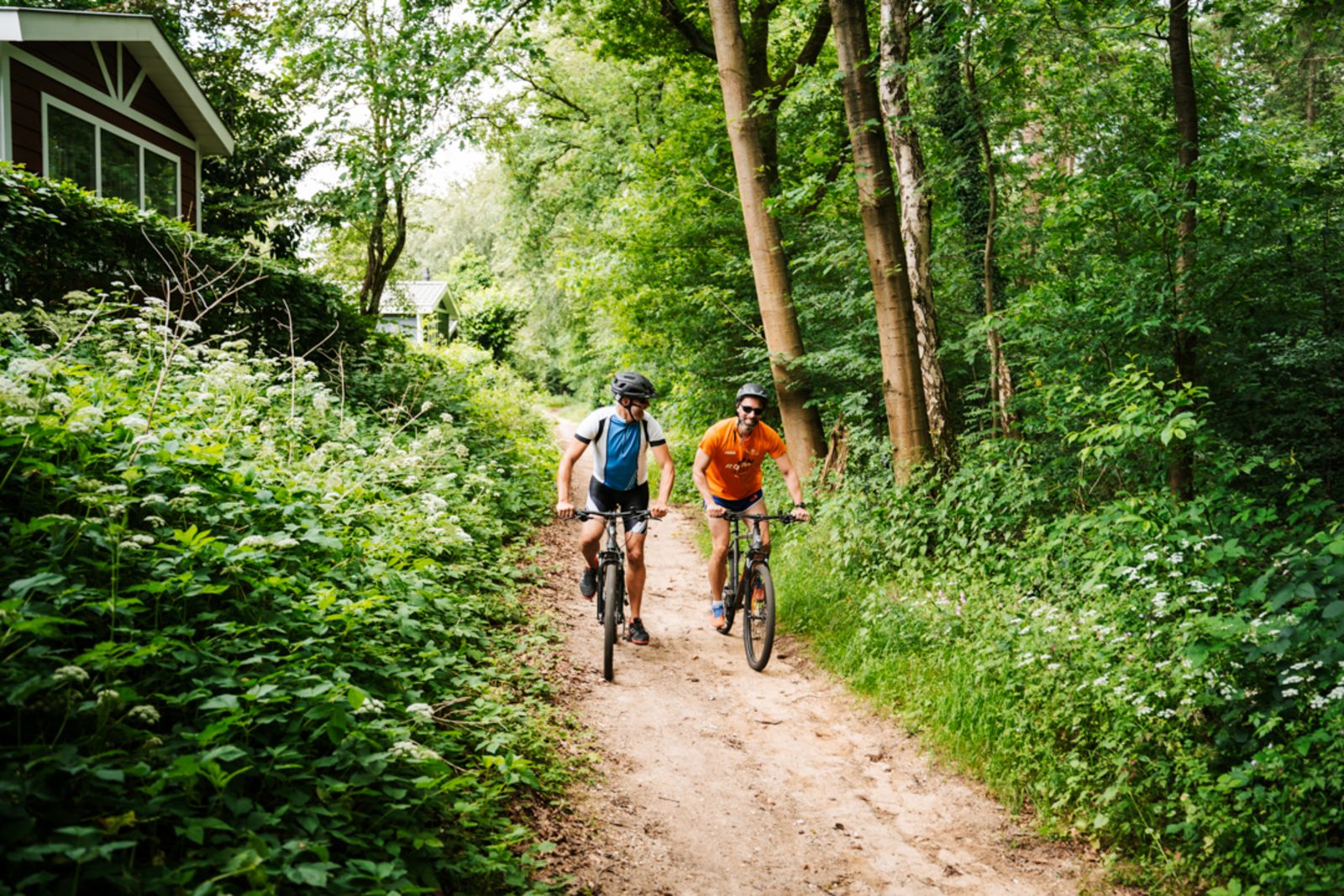 Wellness Lodge de Heuvelrug | 4 people