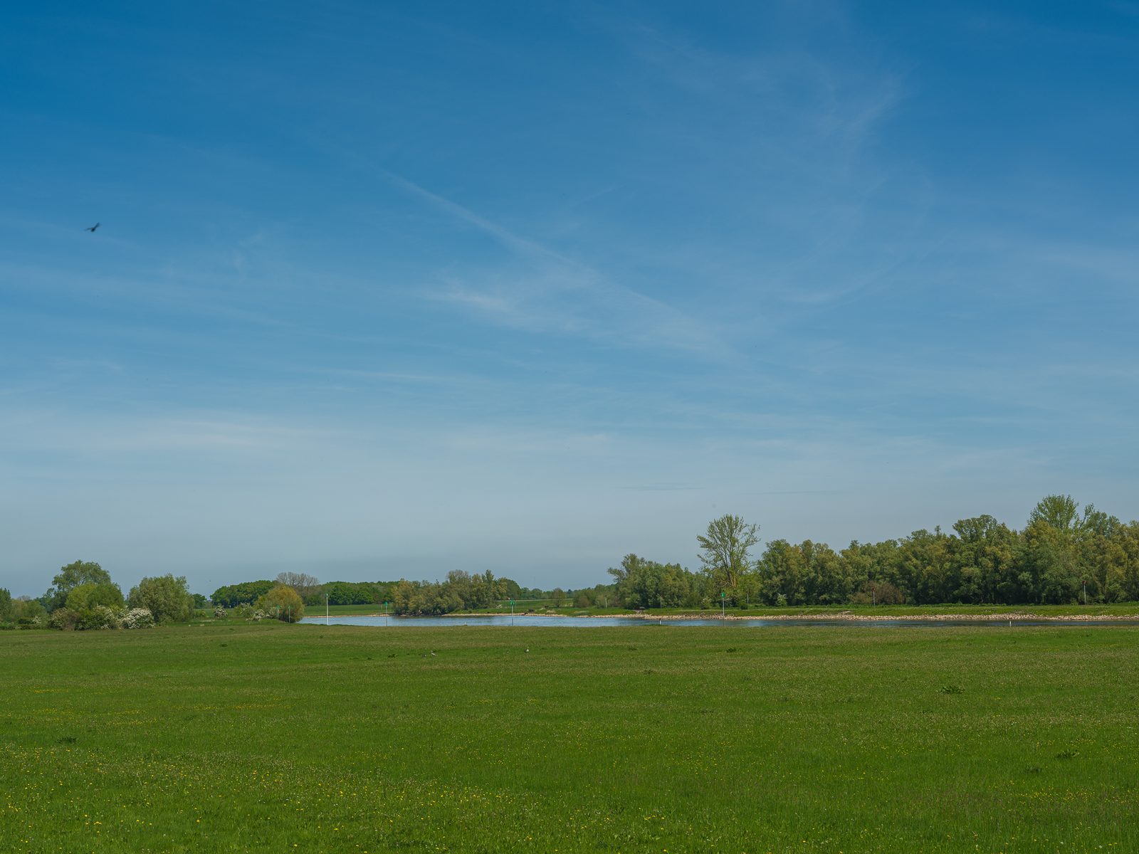 Camping pitch IJsselweide Tent