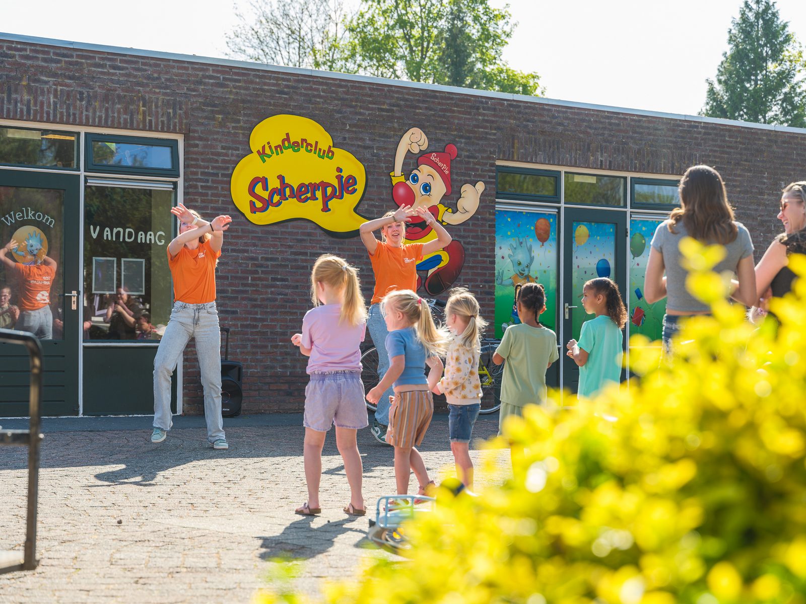Camping pitch IJsselweide Tent