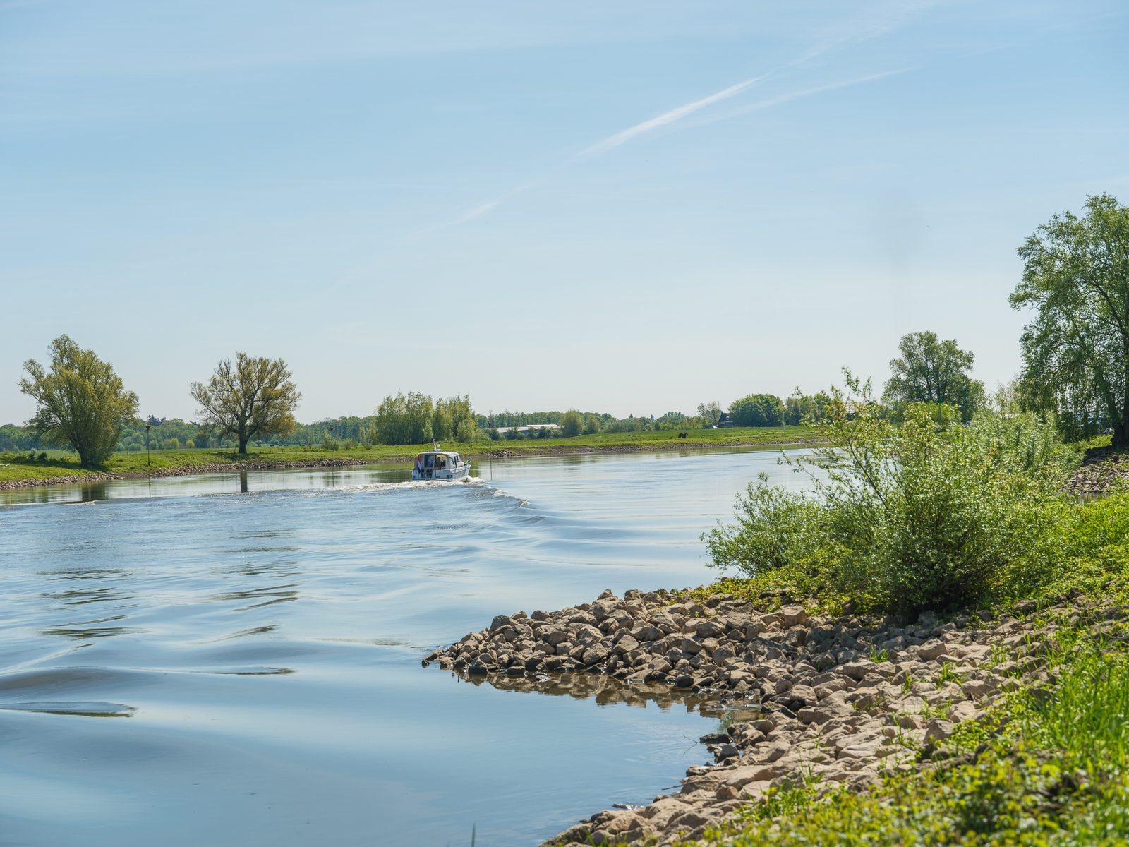 Camping pitch IJsselweide Tent