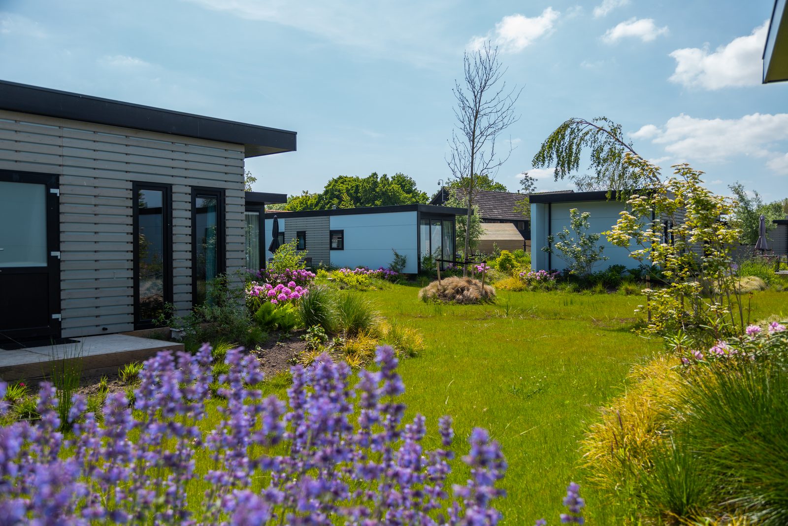 Vakantiechalet comfort+