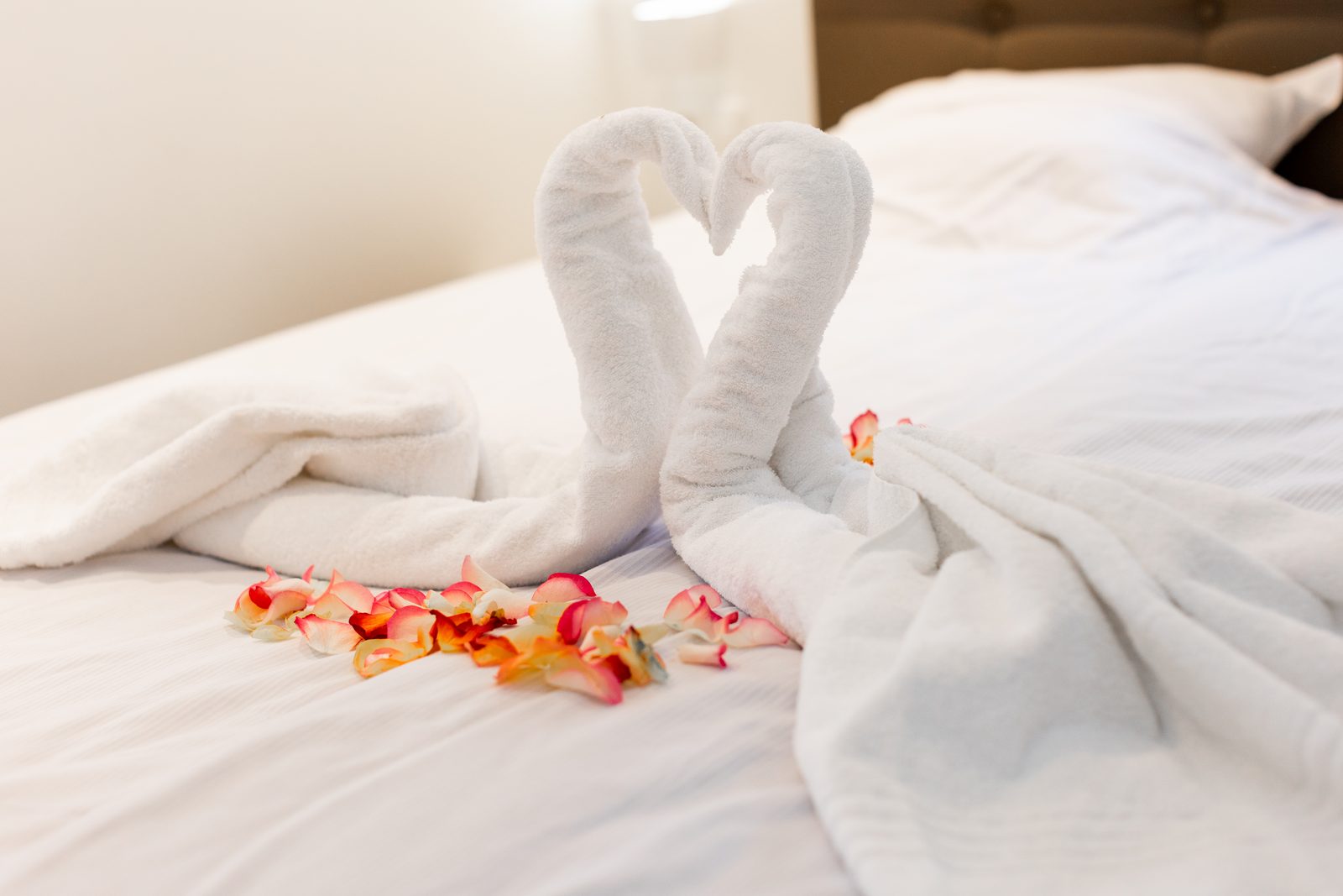 Wellness Lodge XL 4 Personen