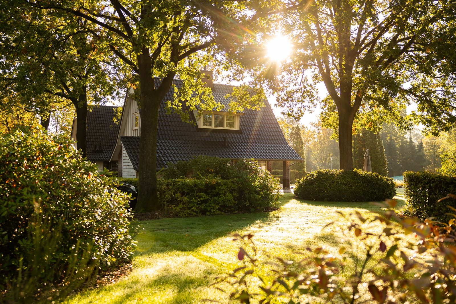 Villa Beukelaer XL Wellness 6 personen