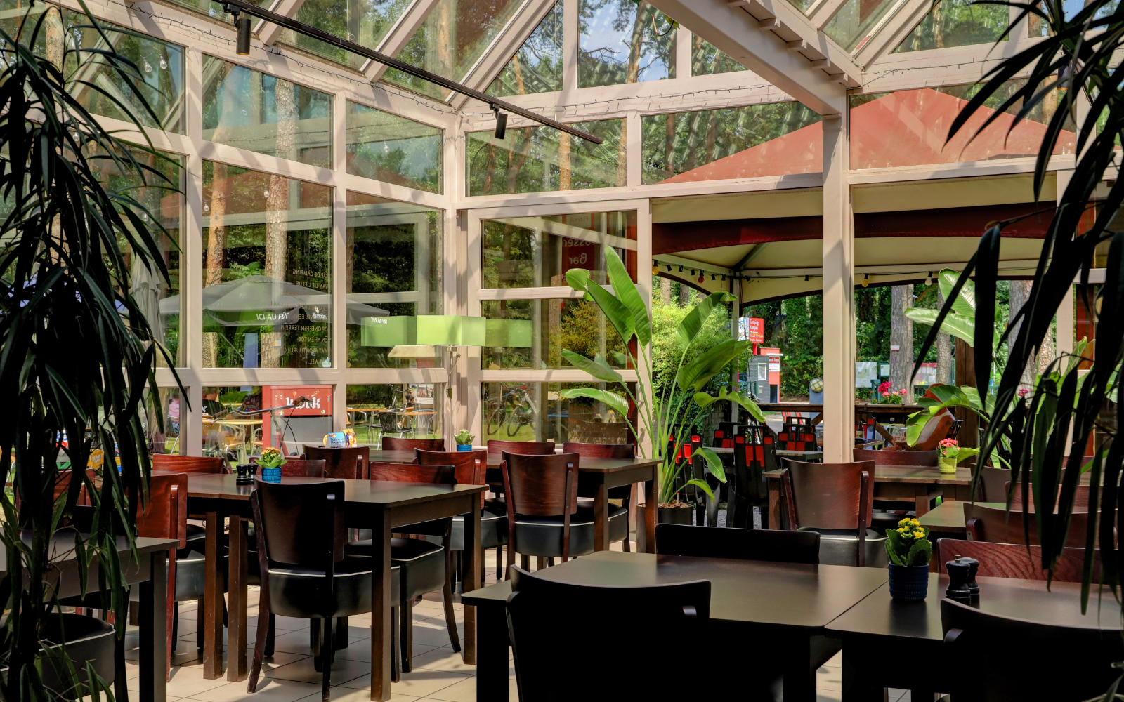 Safari Tenten met Sanitair 4 personen afbeelding