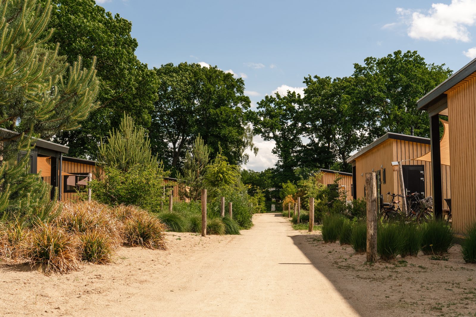 Sand-Lodge | 4 Pers.