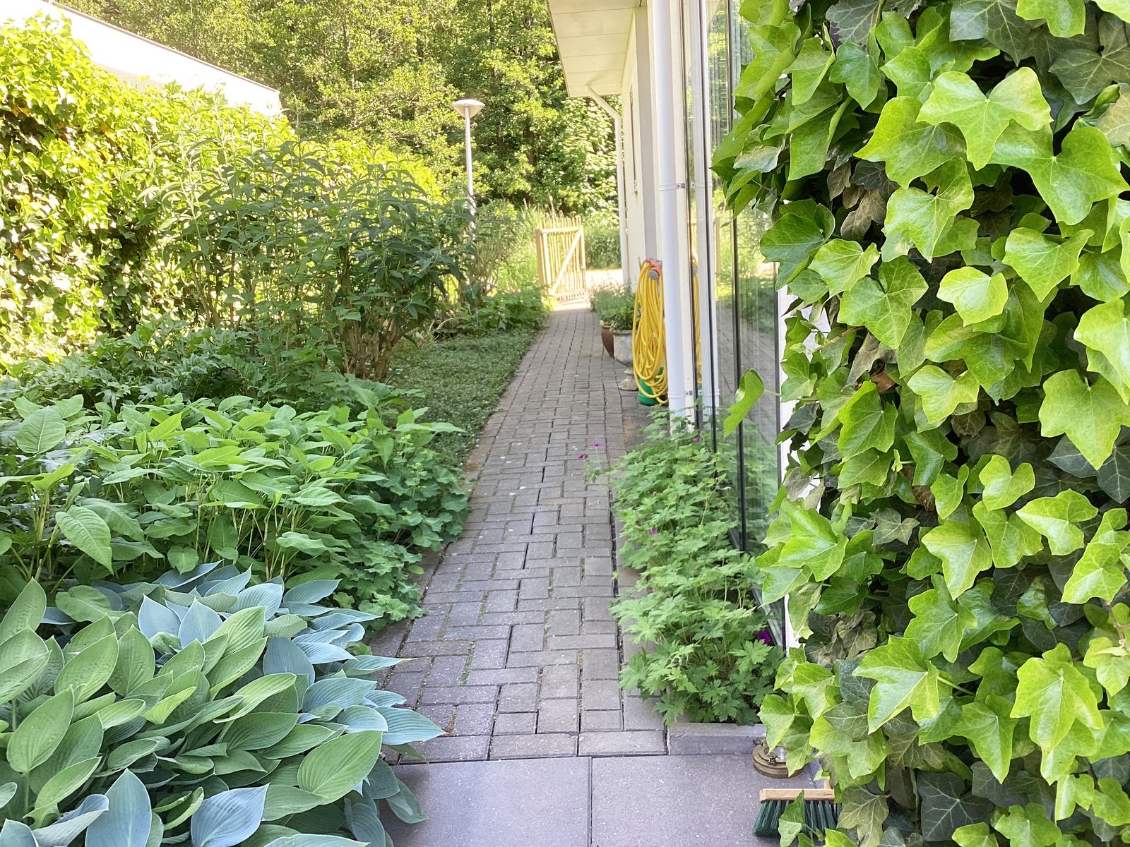 Bos Nr. 474 | 4 Pers.