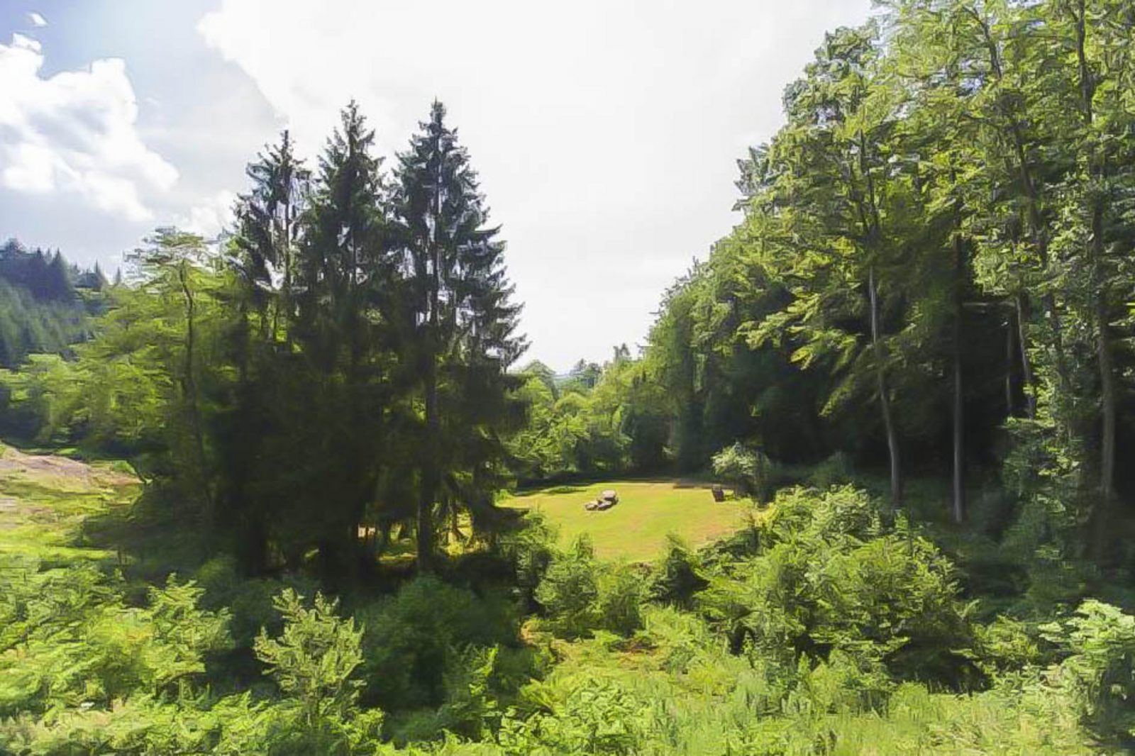 Country house la Forêt