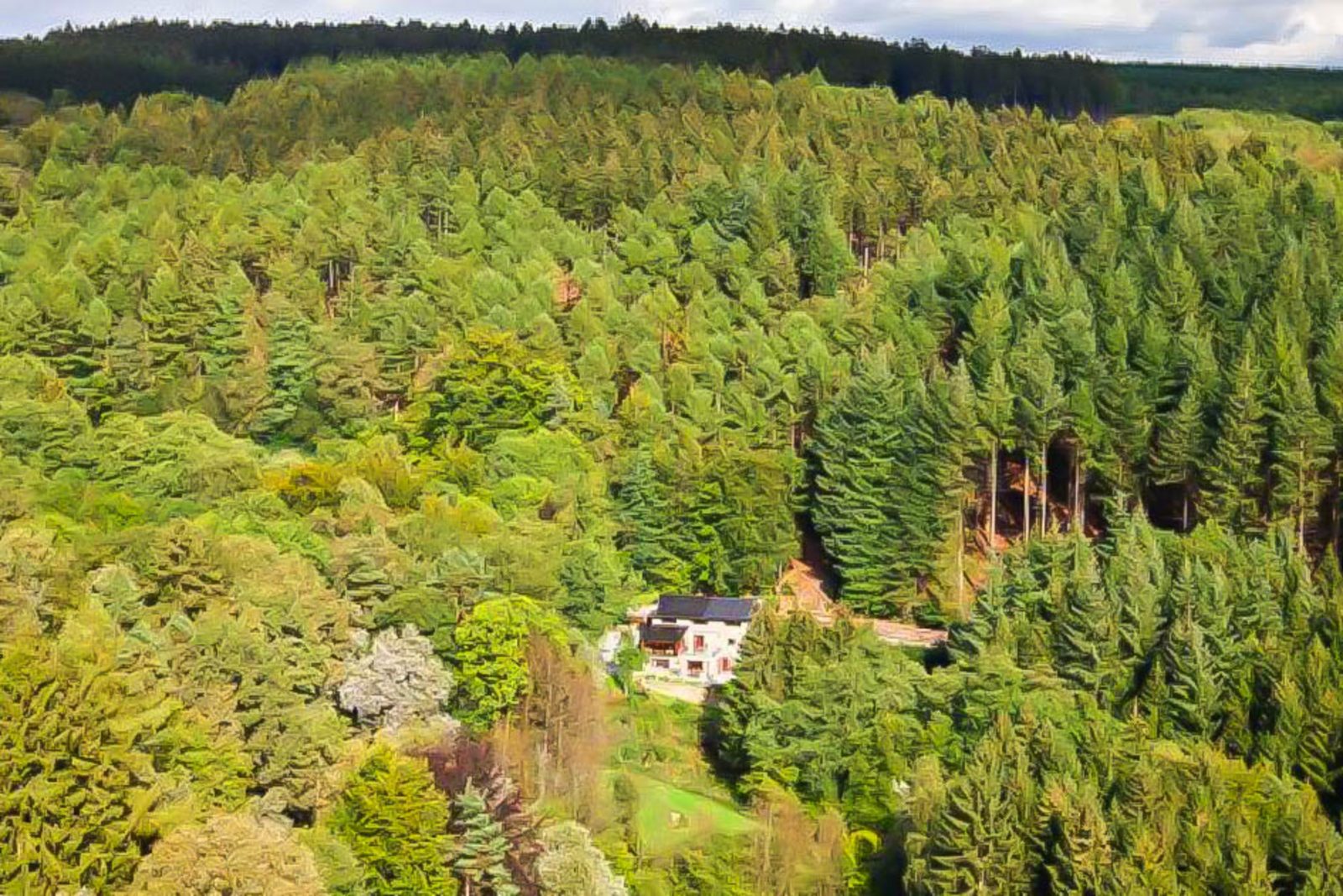 Country house la Forêt