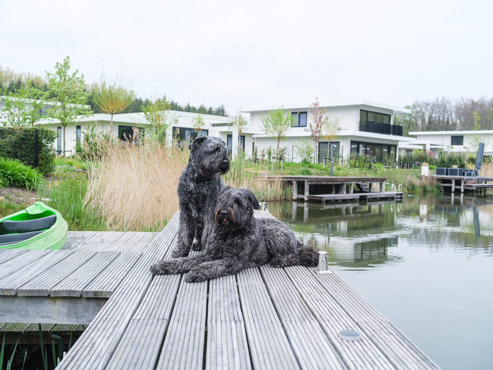 Villa Dolfijntje Nr. 585 | 4 pers.