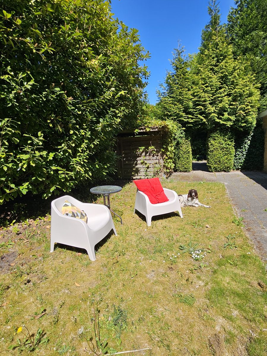 Bungalow Eekhoorn | 4 persons
