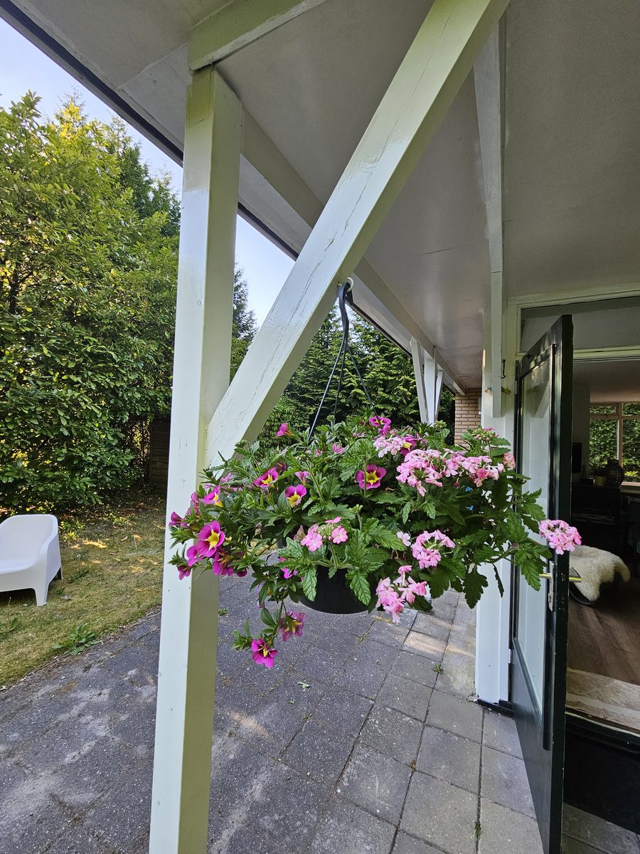 Bungalow Eekhoorn | 4 persons