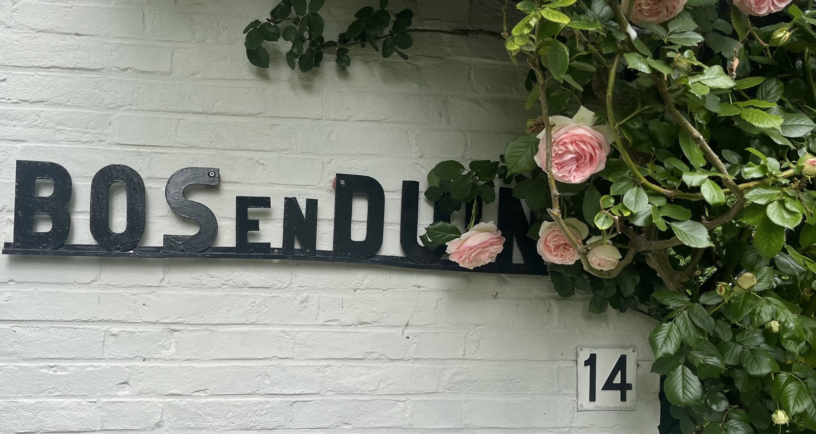 Vakantiewoning - Vebenabos 14  | Dishoek "Bos en Duin"