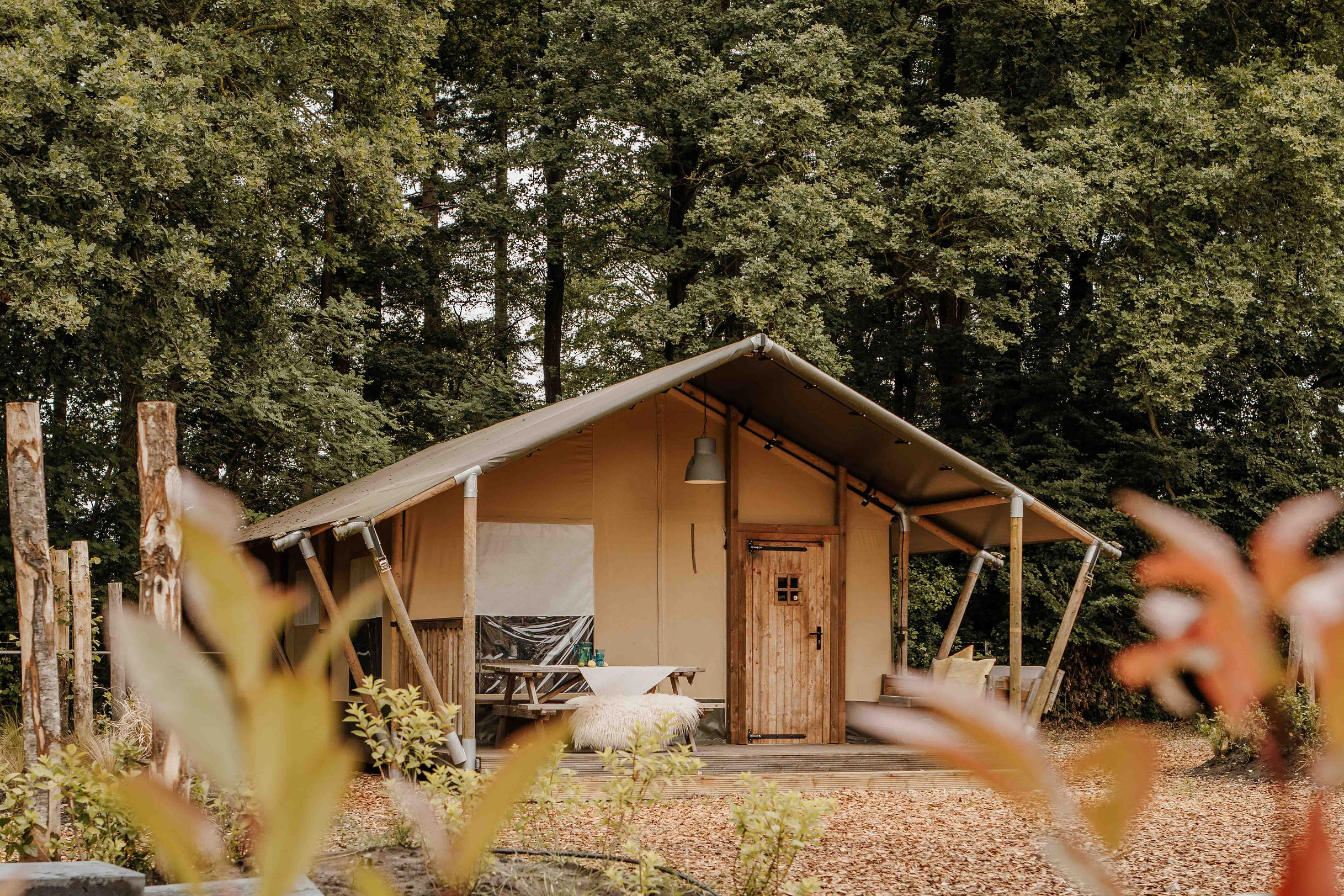 Geniet van luxe en comfort in onze ruime safaritenten in het hart van de prachtige Veluwe.