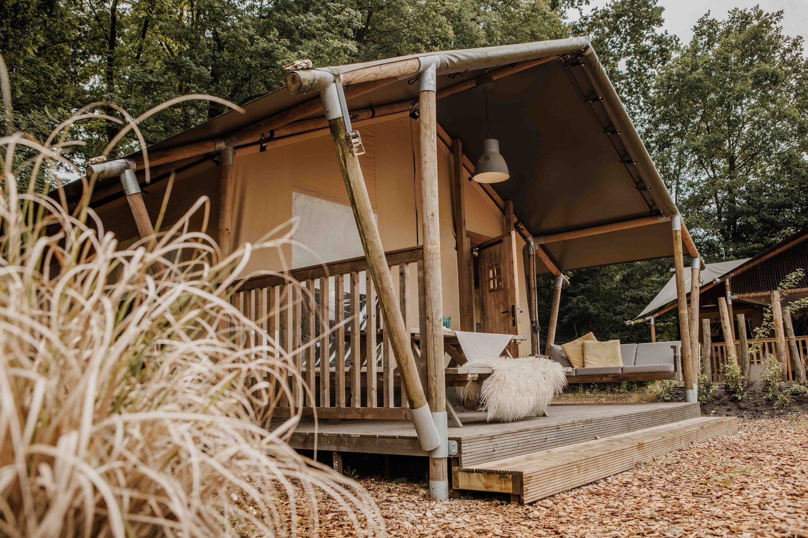 Safaritent | 6 personen