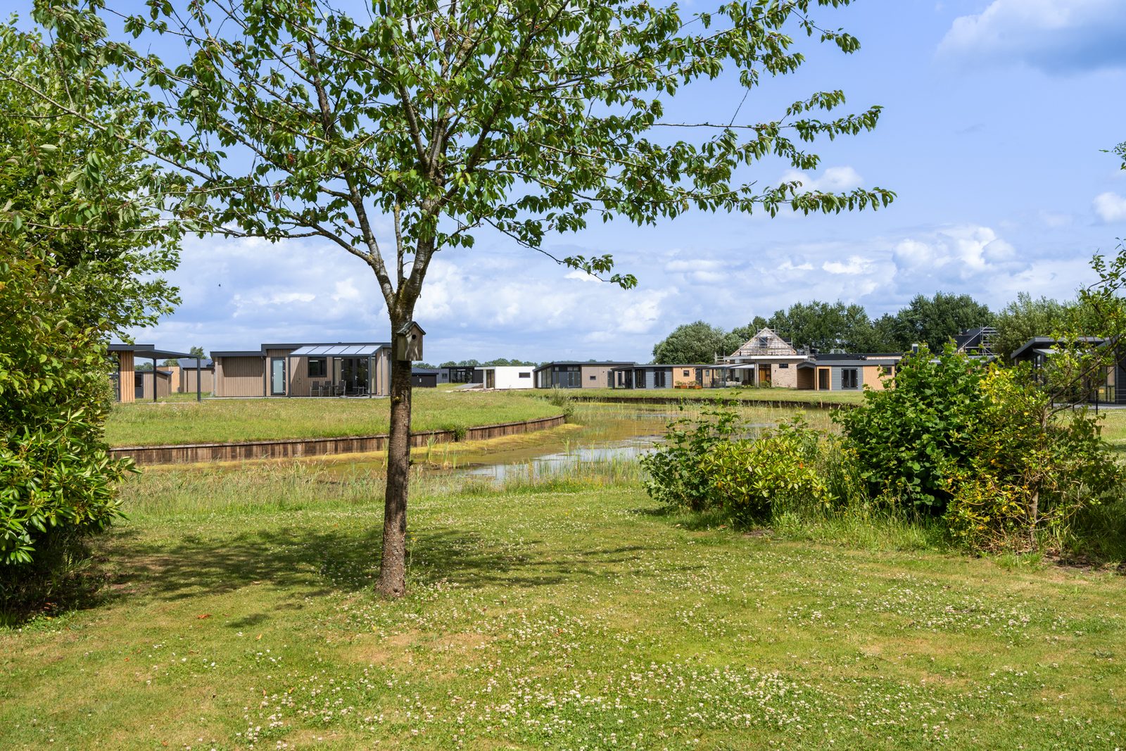 Ellertsveld Bungalow | 8 Personen