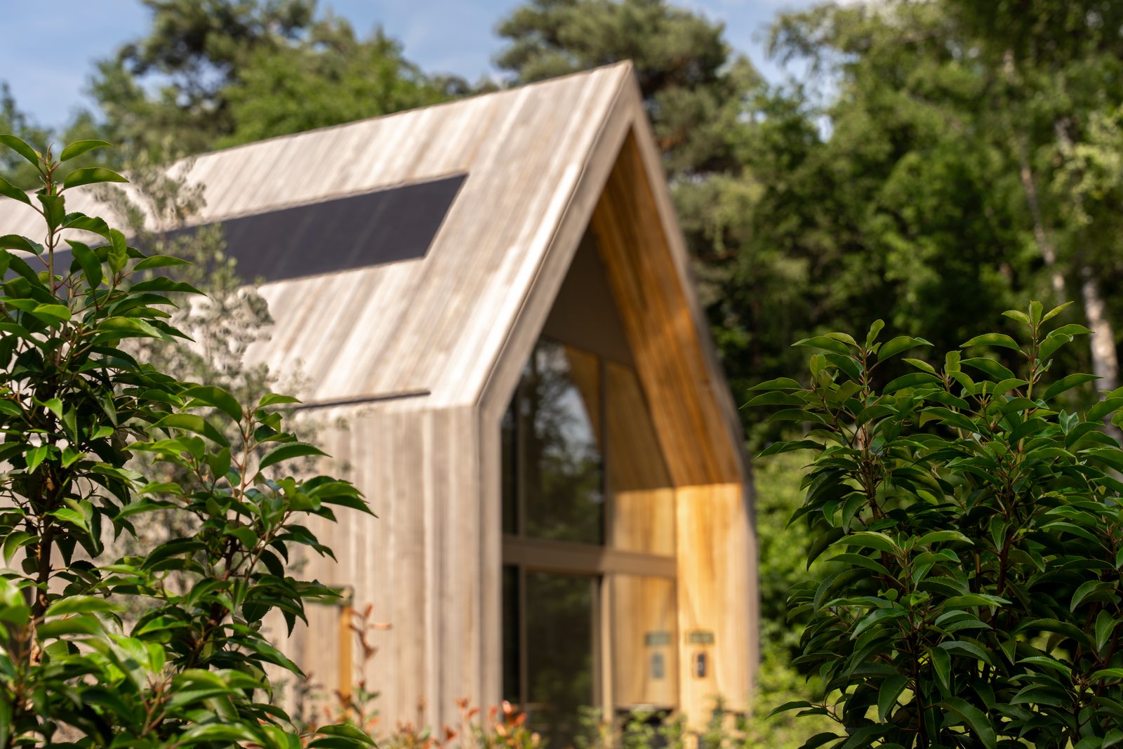 Lodge | 6 Personen