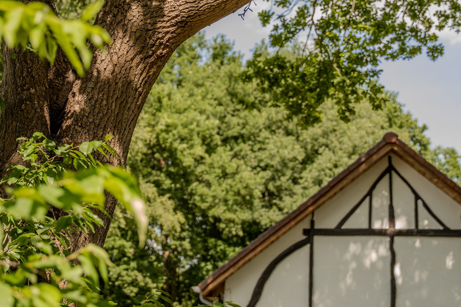 Villa Lodge mit Whirlpool | 8 Personen