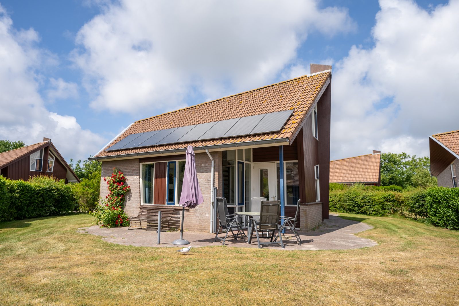 De Witteberg - 454