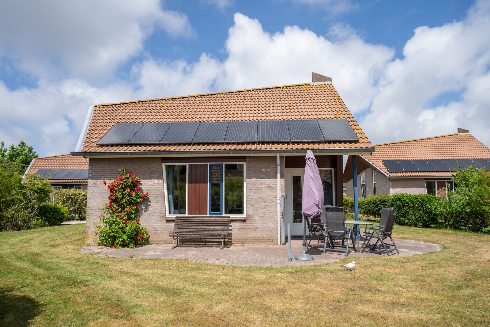 De Witteberg - 454