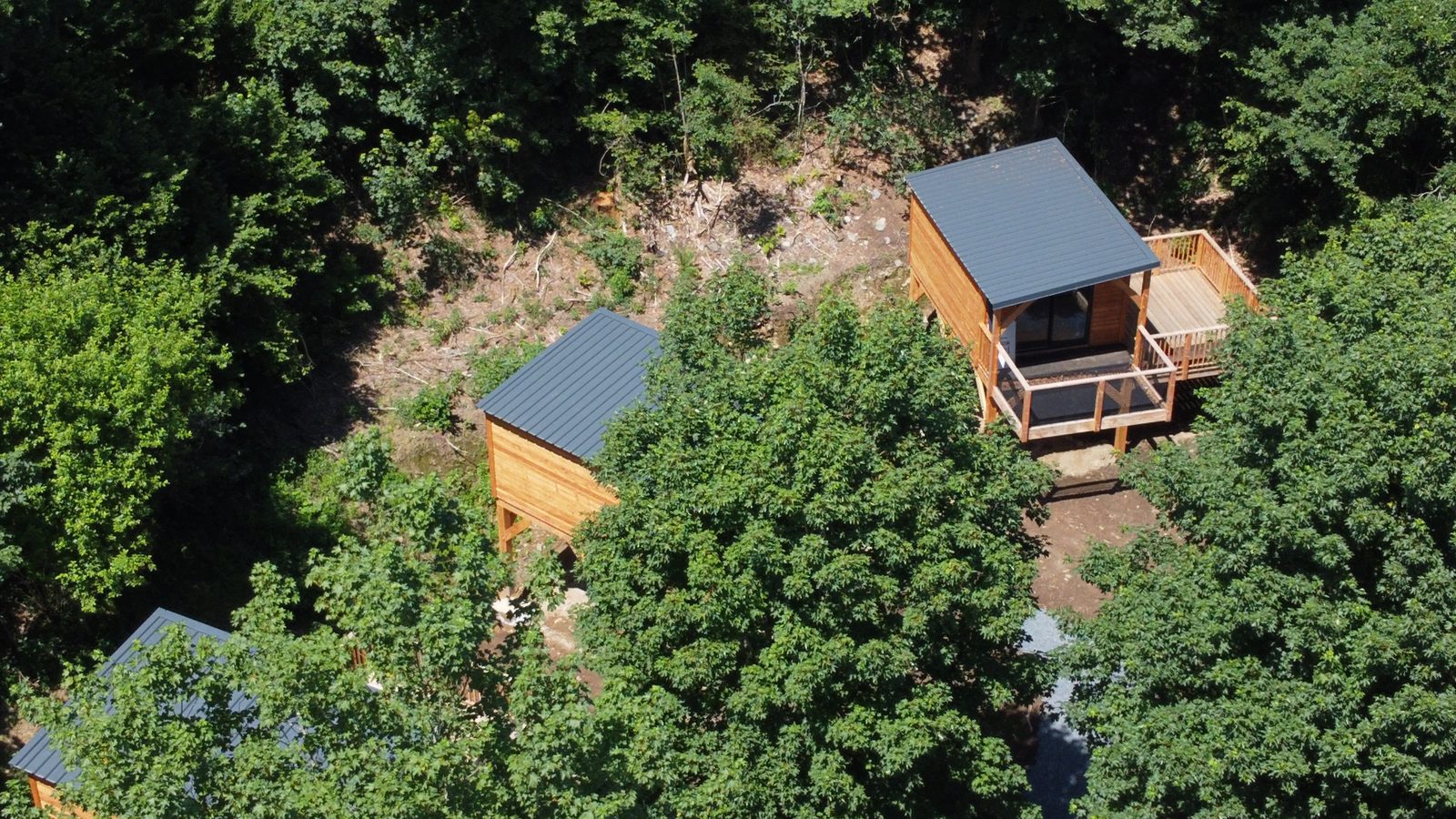 Tree House | 2 personen