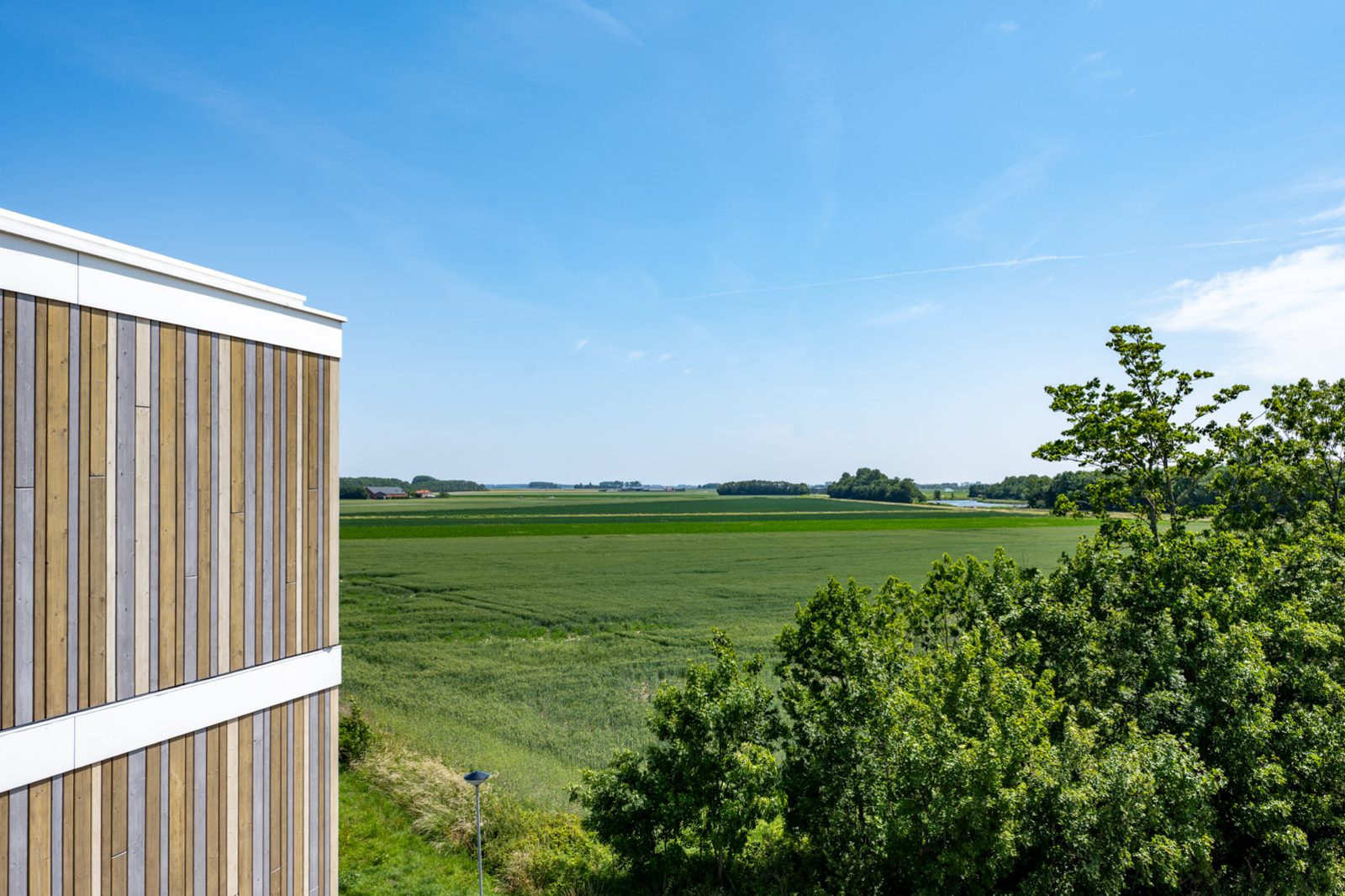 Lamsoor 91 | Veerse Wende