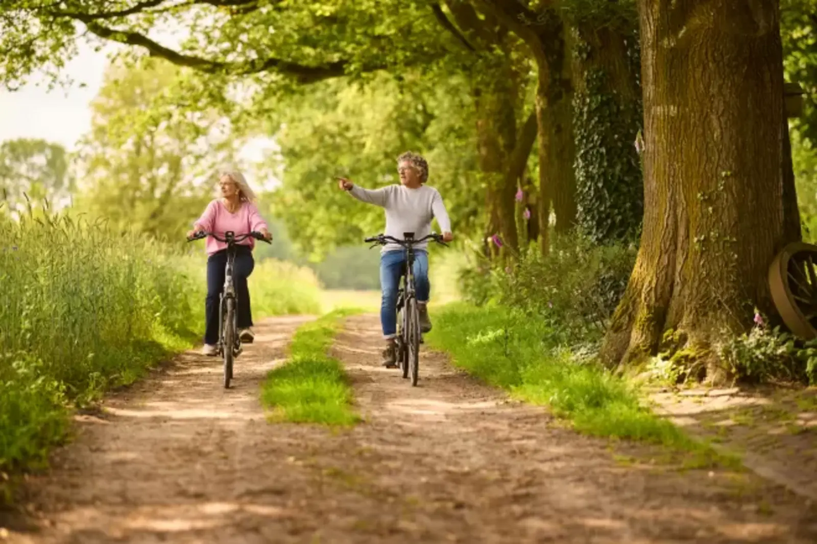 ANWB four-day cycling tour (long stay package)