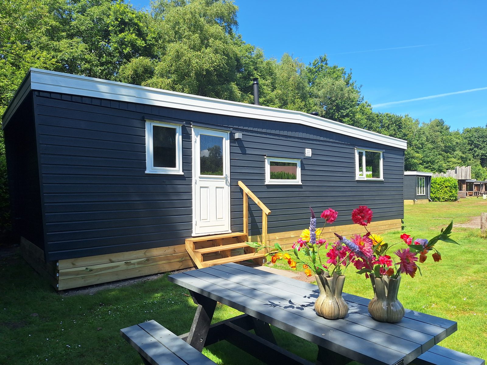 Basic chalet 