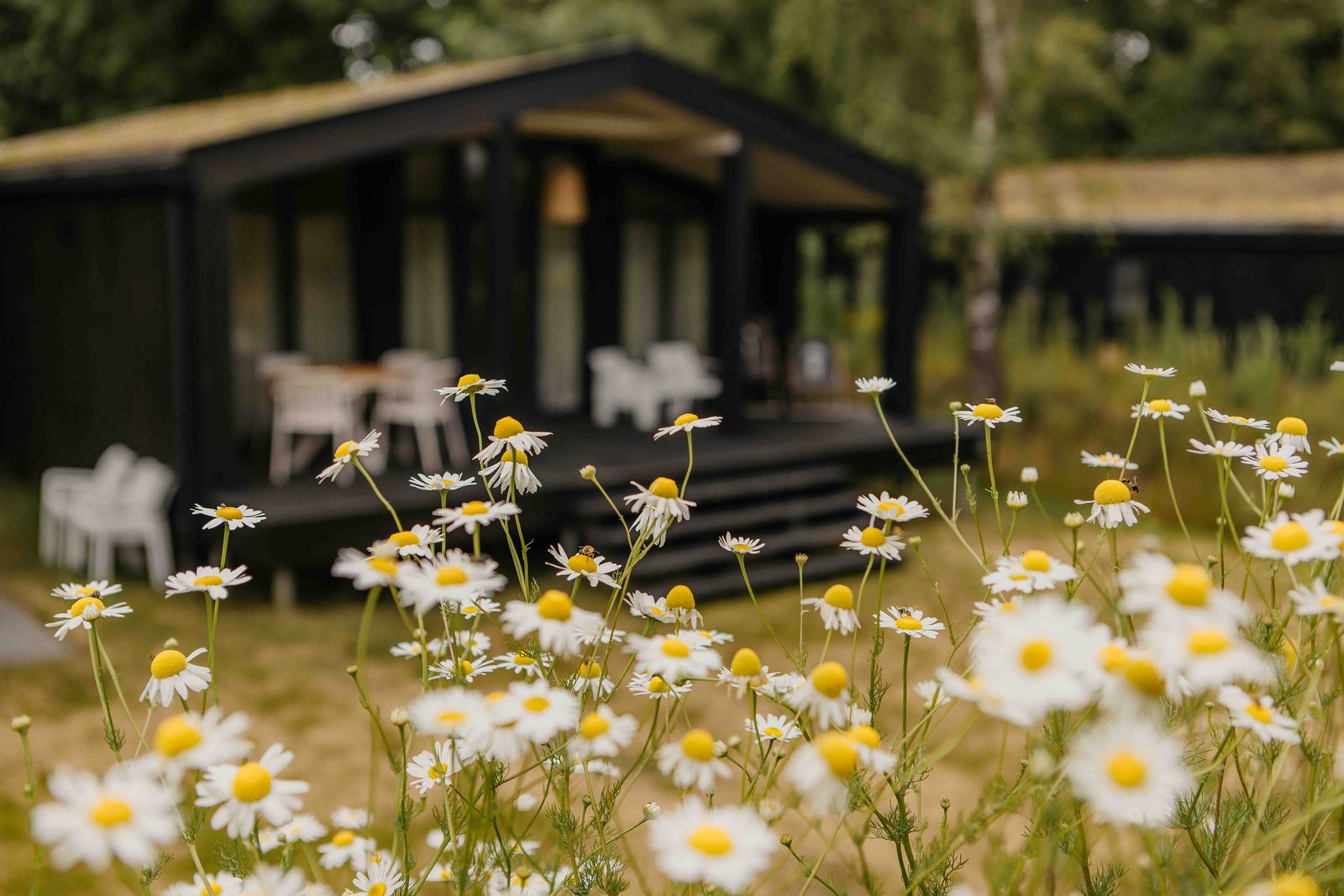 The Hills mit Hot tub | 5 Pers.