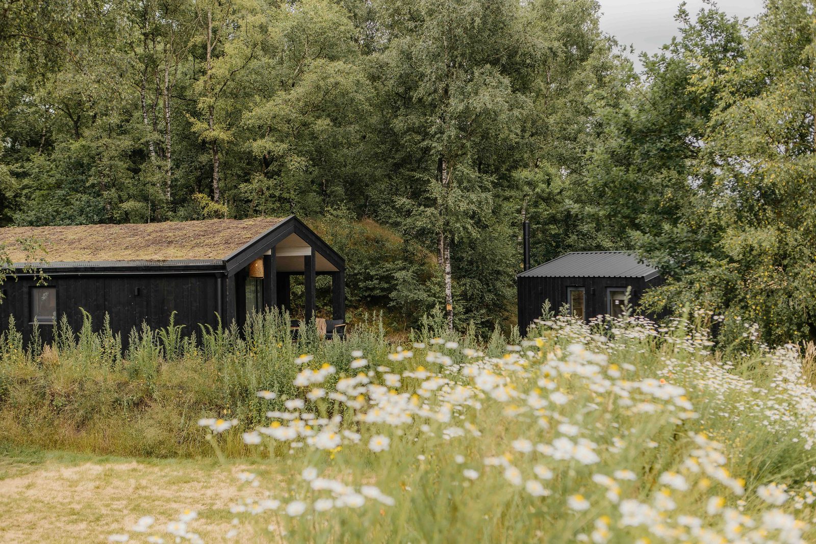 The Hills met Hottub & Sauna | 5 Pers.