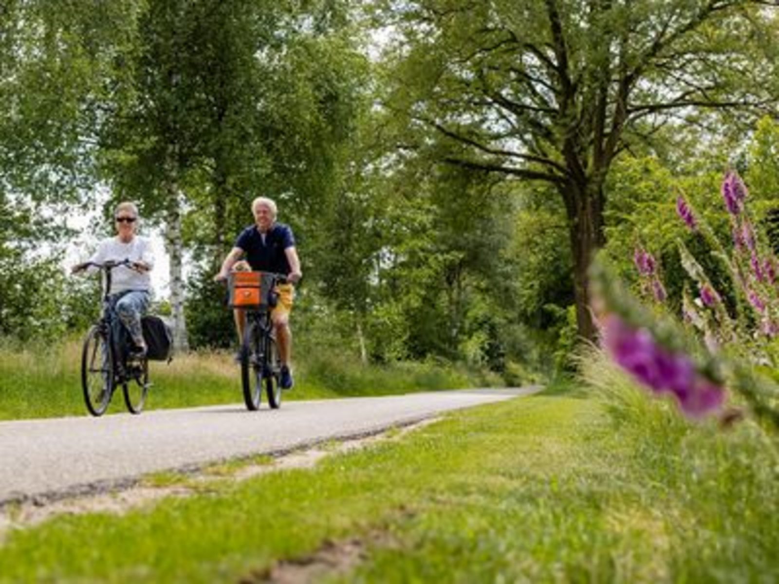 Maandarrangement Juni 2026