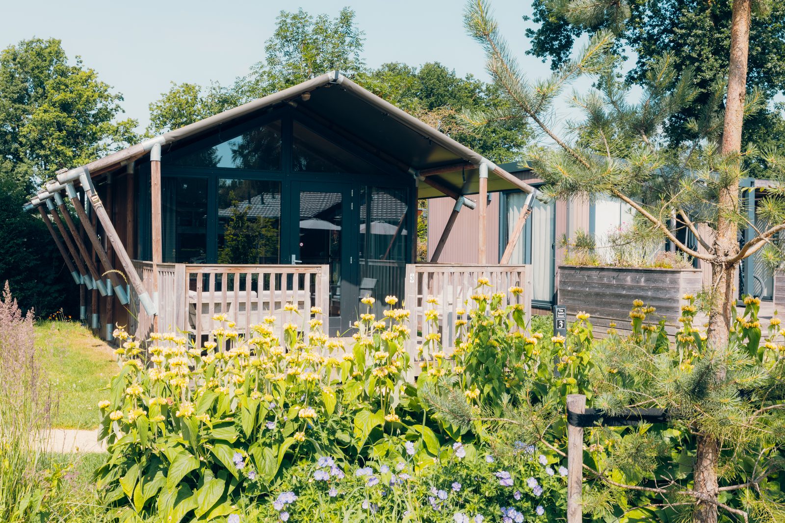 4-person Tiny Safari House