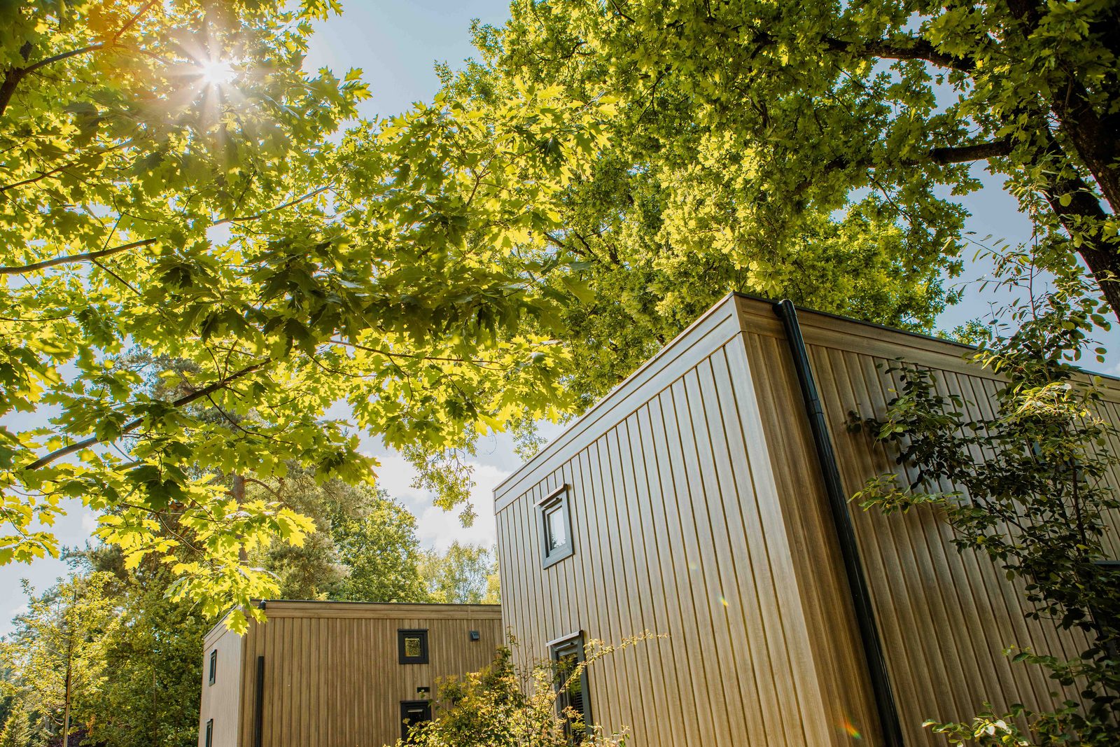 Reeëndal Lodge Comfort | 4 personen