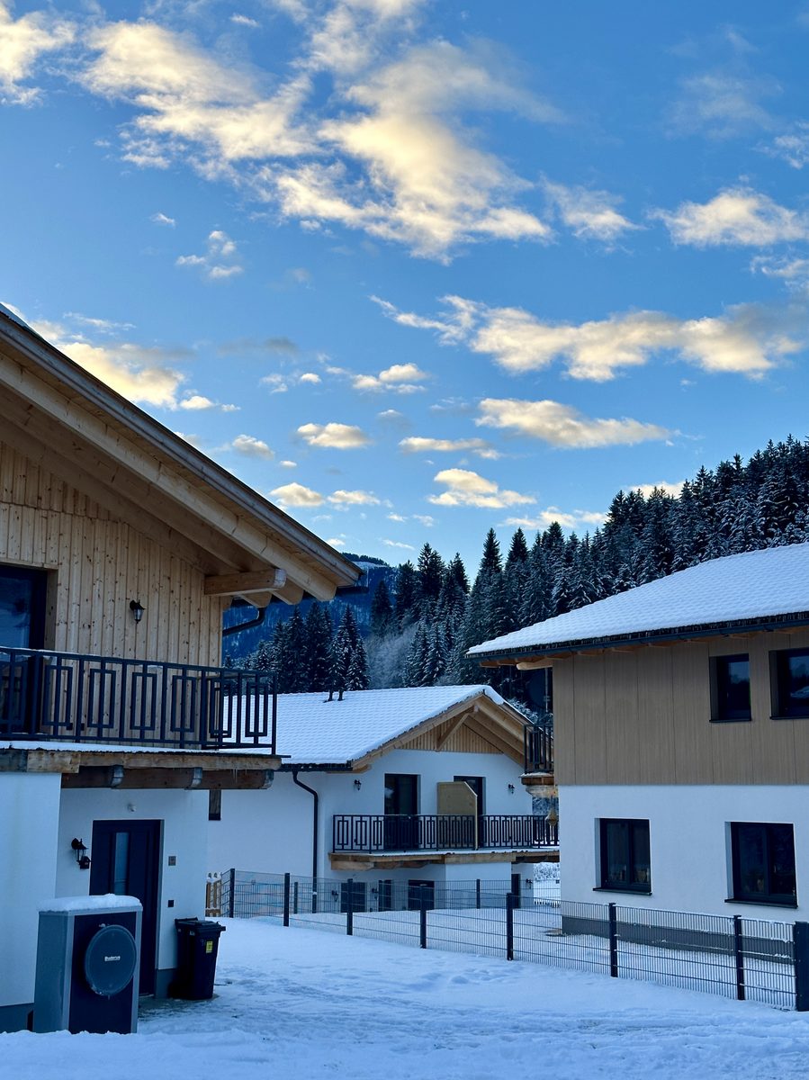 Nature Chalet 4-6C