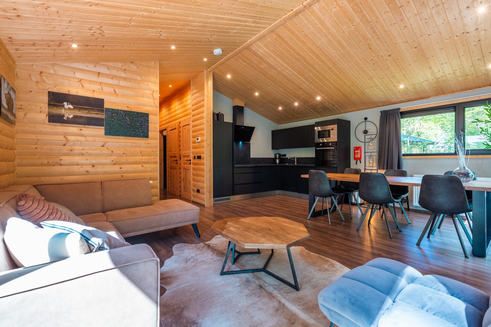 Esborg Lodge Met Hottub | 6 personen 