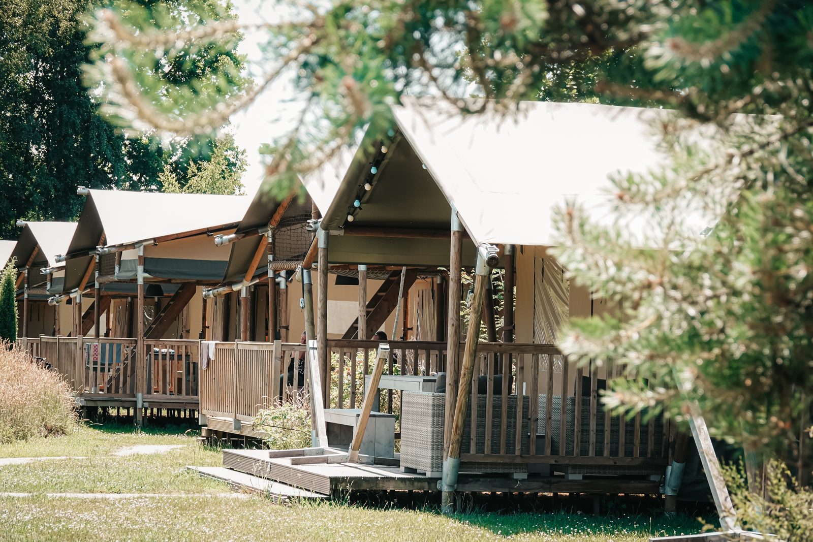 Safaricottage |  6 personen