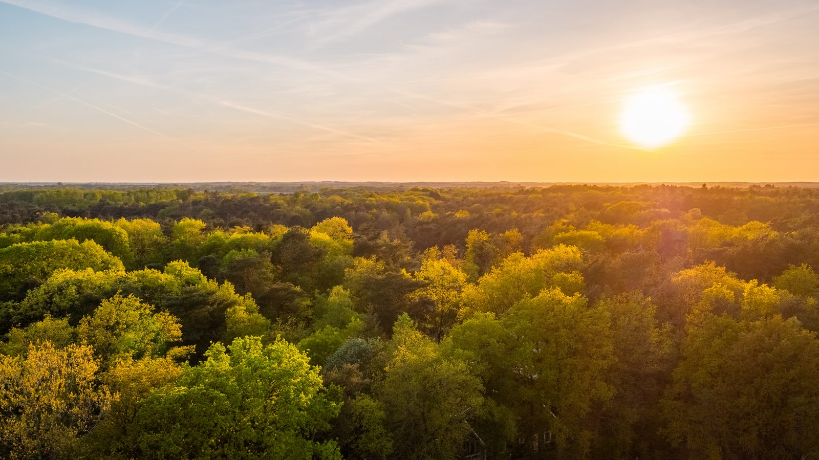 Vennenborg Lodge | 6 personen