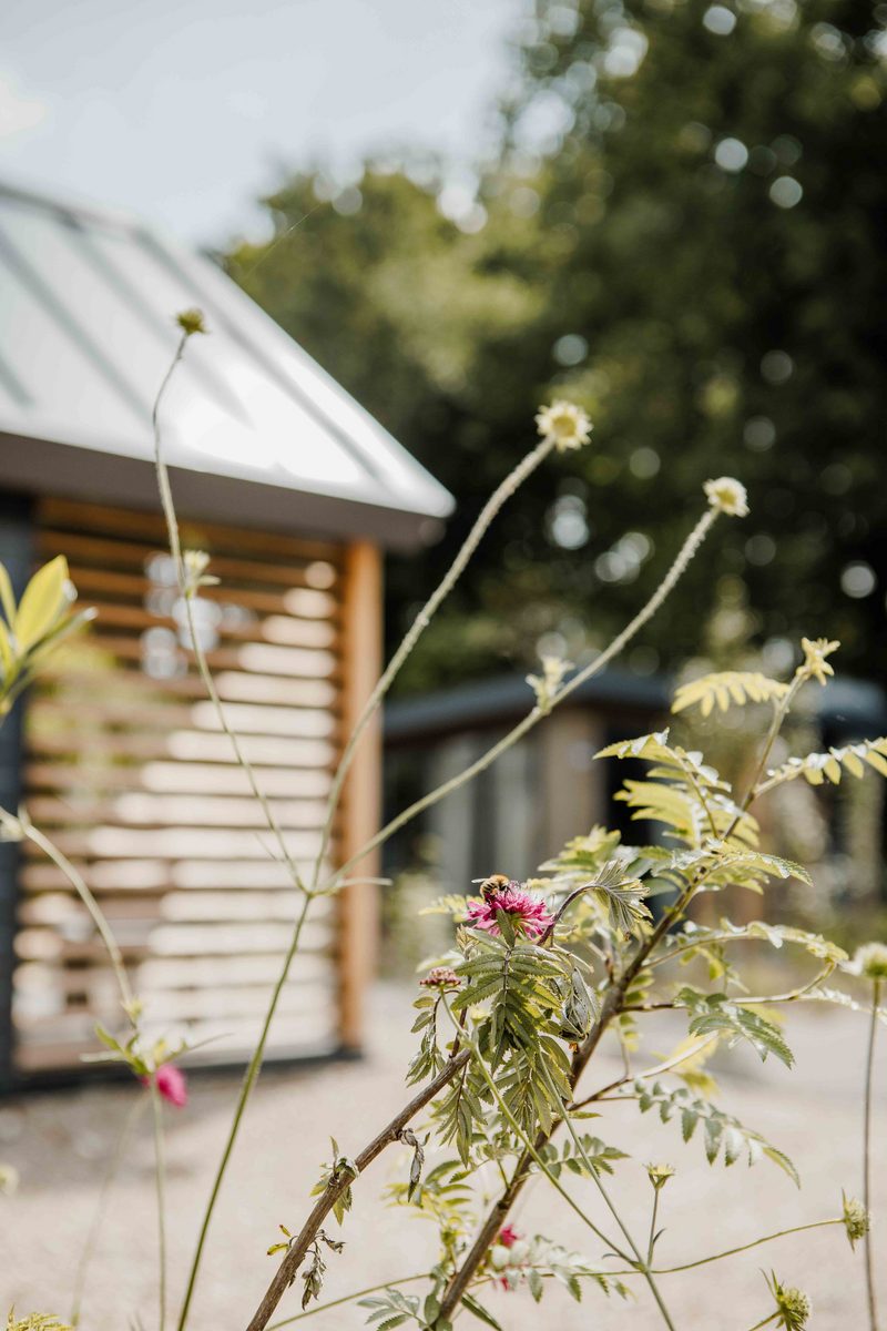 Tiny Loft | 4 persons