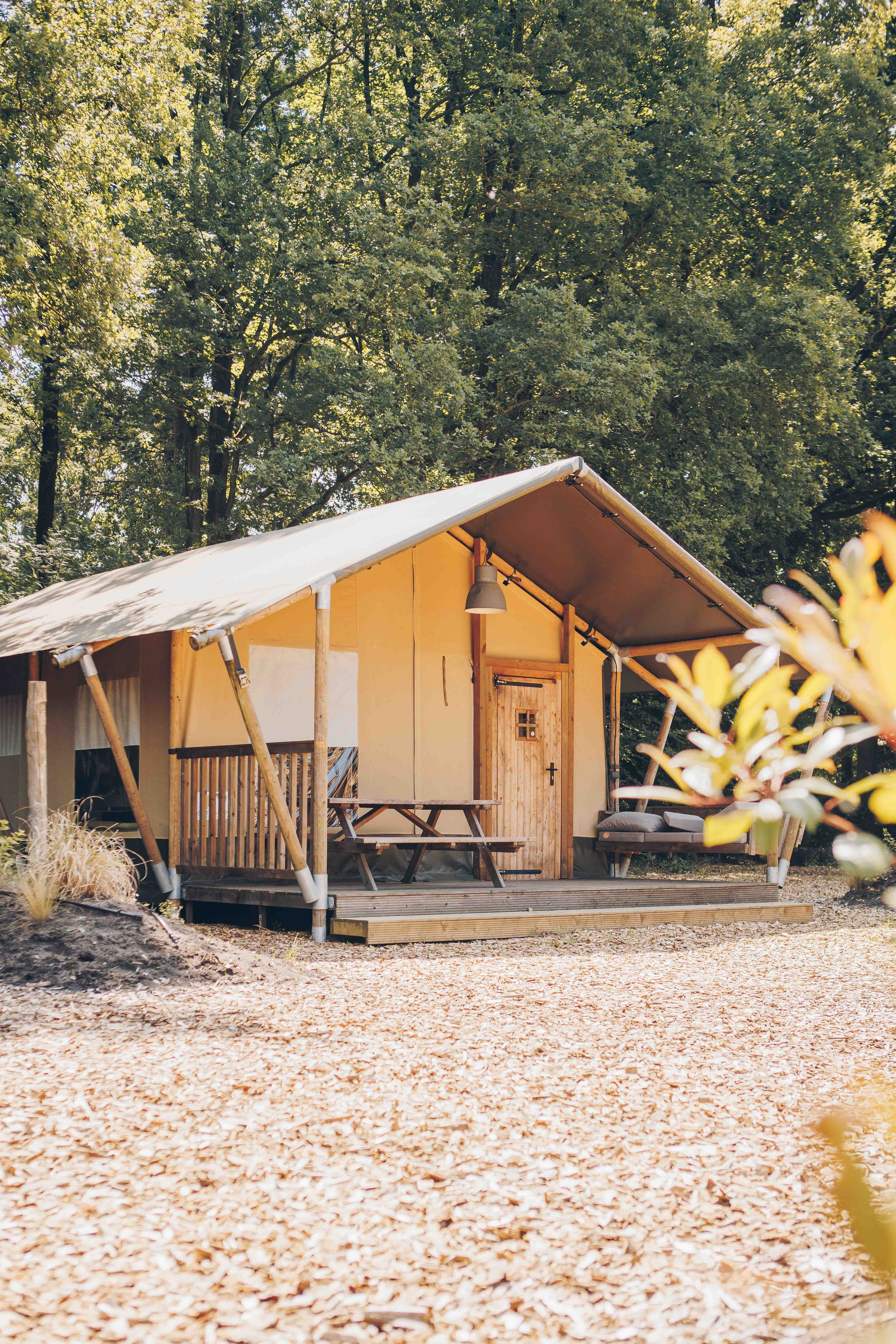 Glampen op de Veluwe? Safaritent voor 6 personen met privé badkamer, luxe keuken en veranda met zon én uitzicht op speeltuin.