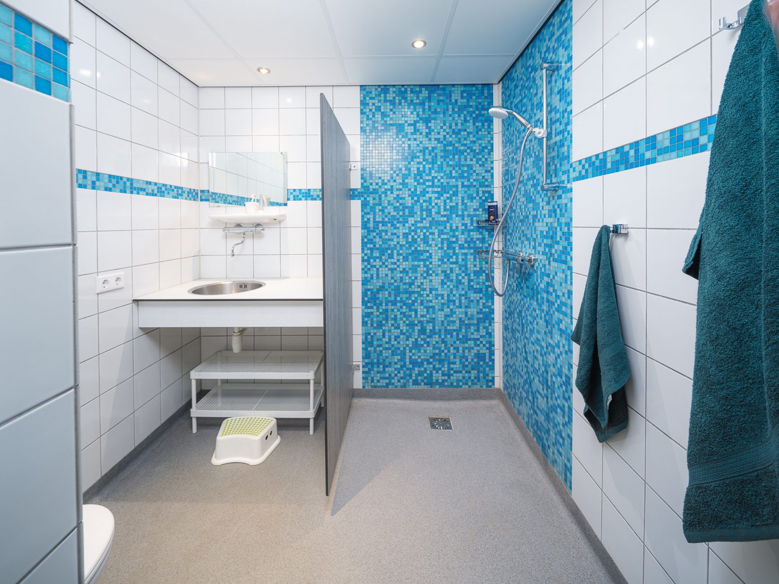 Supercomfortplaats met privésanitair