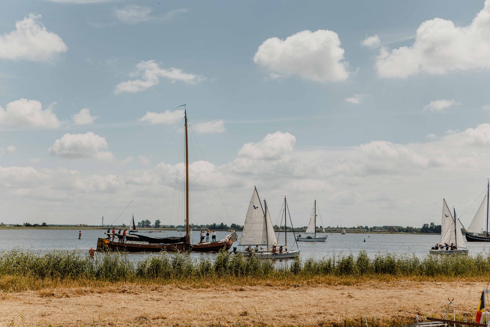 Havenvilla | 6 personen