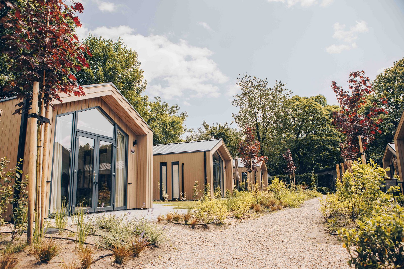 Tiny Lodge met Hottub | 4 personen