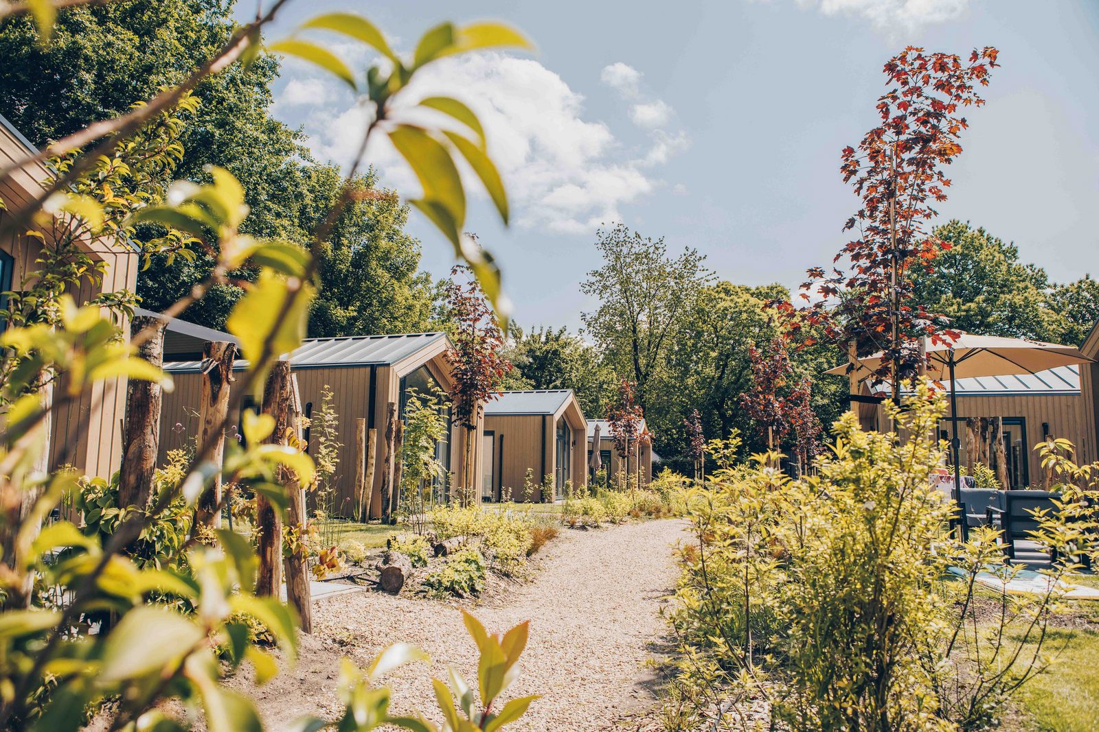 Tiny Lodge met Hottub | 4 personen